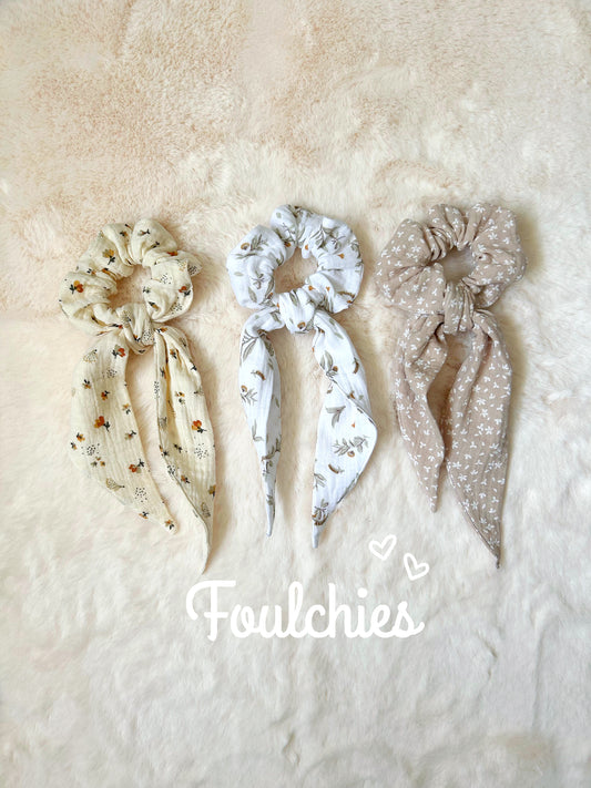 Foulchies
